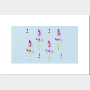 Stachys macrantha  Big Betony Posters and Art